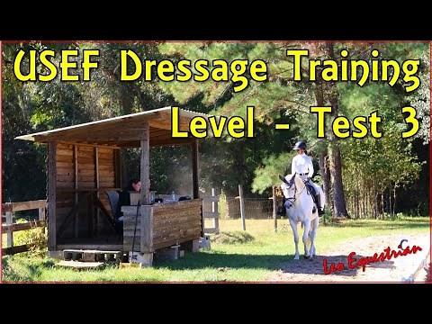 USEF Training Level - Test 3