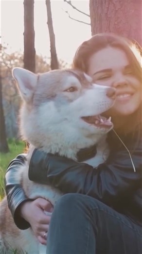 Have you ever wondered when the connection between humans and dogs started? Discover the history of dogs and human interaction, including the earliest known ancestors of gray wolves, creodonts, who roamed the Northern Hemisphere 100-120 million years ago. It's a long history of love. #DogHistory #HumanAnimalBond #GrayWolves #AnimalAncestry #DogLovers From: Ancient Lost Worlds S1 Ep1 | Odyssey - Ancient History