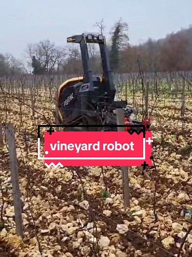 Vineyard robot #thewinearound #wine #vineyard #agriculture #robot @Pellenc