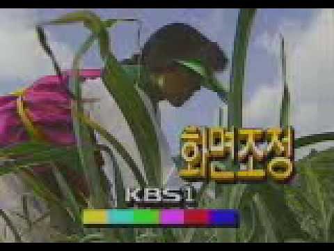 2000년 8월 31일 목요일 KBS1 오전방송순서