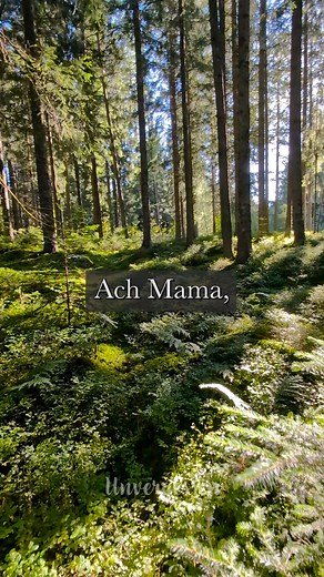 Was eine Mutter wirklich bedeutet wissen nur die, die ohne sie leben müssen. 🖤🫂 | Unvergessen