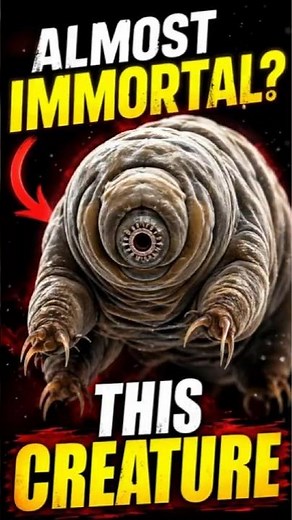 This Creature Survived Space 😳 (Tardigrade)