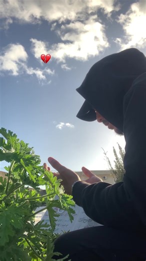توحشتك امي💔