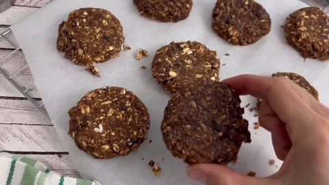 Easy No-Bake Protein Cookies (Made in Minutes!)