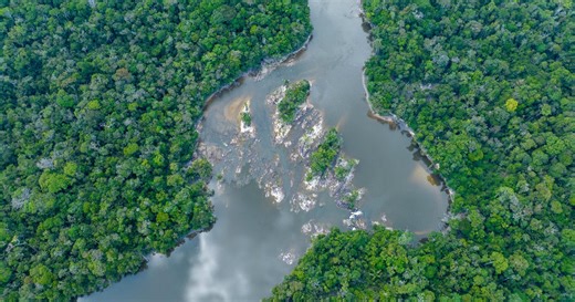 Field Museum scientists study the Amazon, learn about conservation