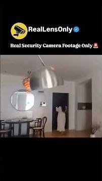 Real Security Camera Footage Only