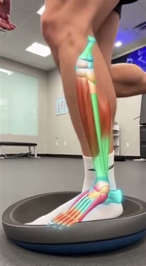 Shoulder Stability: Wall Slide with Scapular Upward Rotation