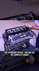 Auto Performance on Reels