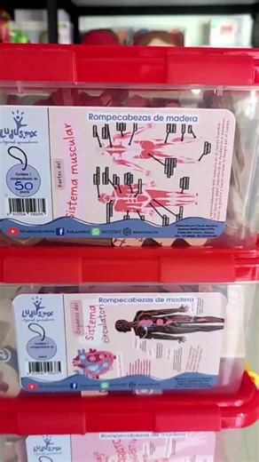 Rompecabezas del Cuerpo Humano para Niños