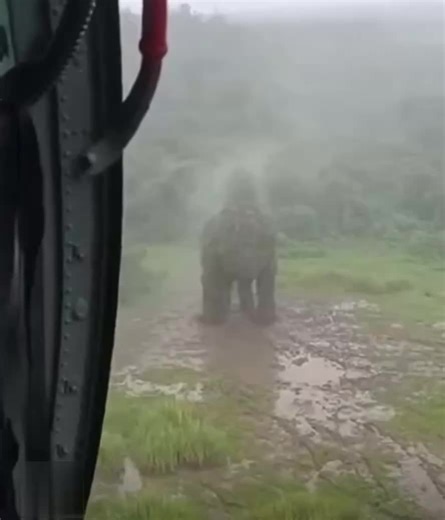 Exploring Hidden Creature Files: Mysteries Unveiled