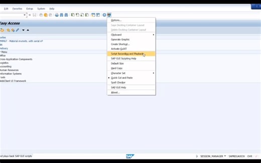 1.SAP 脚本录制功能结合Power Automate Destop自动化流程(Av977205106,P1)