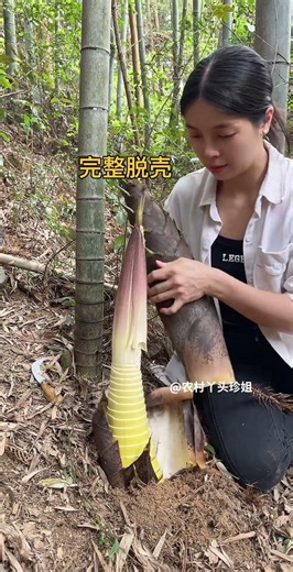 How To Peel Fresh Bamboo Shoot #satisfying #bamboo #farming #viral #fruit #farmlife #wildlife
