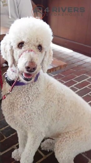 Good Vibes & Great BBQ | Welcome to 4 Rivers Smokehouse