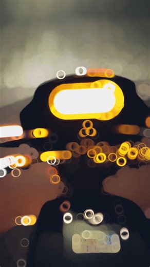 SPLENDAR LOVER � | #trendingreels #view #likeforlikes #flowers #explorepage✨ | Instagram