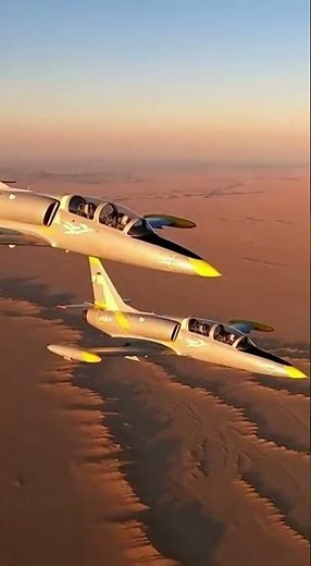 L-39 Albatros – The World’s Most Successful Jet Trainer