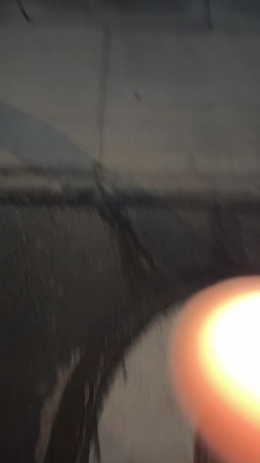 Tarzan the monkey man