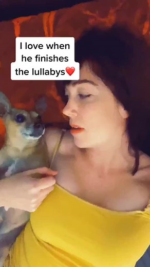 Goodnight 🥱😴 #dog #puppy #pup #cute #eyes #dogs | De Casper