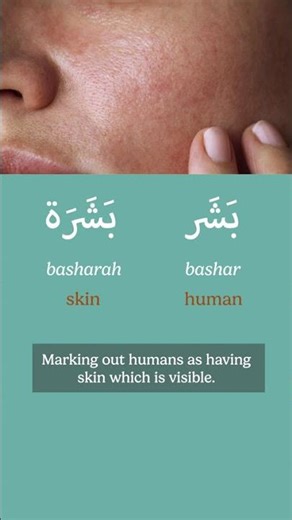 Words for Human in Arabic | Beginners Lesson with Ihsan Arabic