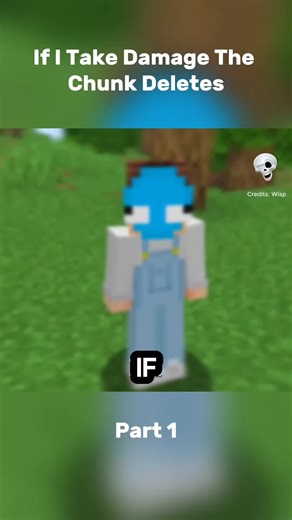 If I Take Damage The Cunk Deletes. Credits: Wisp on YouTube #Minecraft #minecraftclips