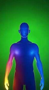 How Inhaled Smoke Affects the Human Body 3D Medi