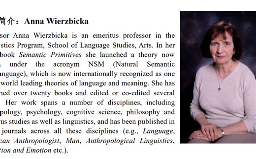 The Meanings in My Head and How I Investigate Them