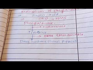 Metabolism of phenylalanine with a trick
