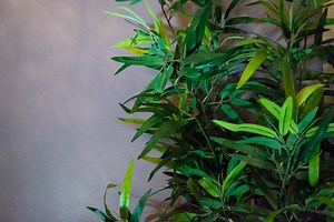 Contact – Urban Massage & Wellness