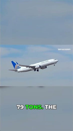 Blue Whale vs. Boeing 737: Guess Who's Heavier? #facts #wildlife