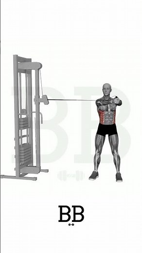 Standing Cable Twist (OBLIQUES): Lock Your Hips for Serious Core Power! 🛡️🔥