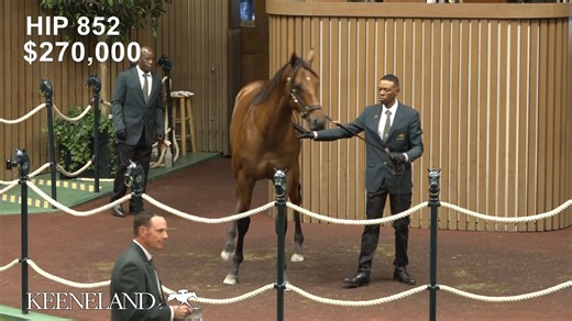 Exosome_Sept 2024 Hip 853