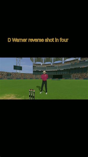 D Warner reverse and cut shot for back to back fours in style #progameplay #viralvideo