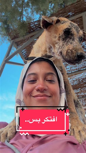 الكلب ده من ضمن كلاب كتيرة تحت رعاية الرحيمين عهد و فطيمة في مزرعة @Boarding With Love ❤️ #كفاية_تعذيب_الكلاب #كفاية_سم_كلاب #كلاب_الشارع #حيوانات_الشارع #التعقيم_هو_الحل