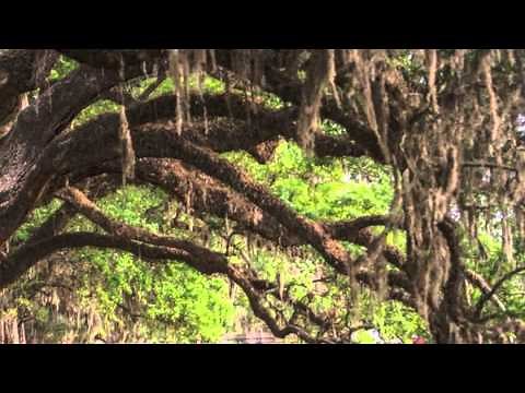 From Dixie With Love (Ole Miss Band)