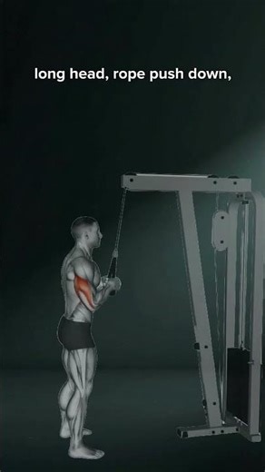 Tricep workout guide