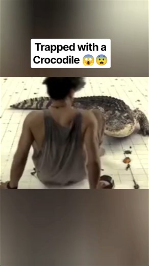 He woke up trapped in a pool with a crocodile|The pool 2018 #moviereview #viralshorts