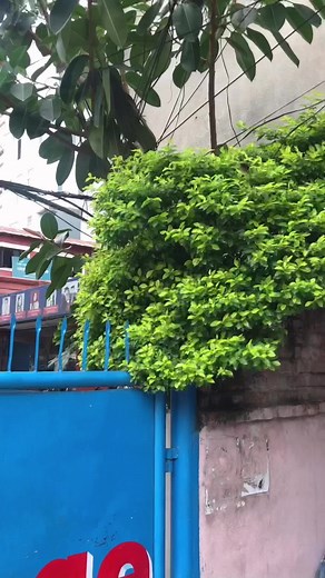 Welcome to EC🙏🏻 #everestcollege #EC #betterlatethannever