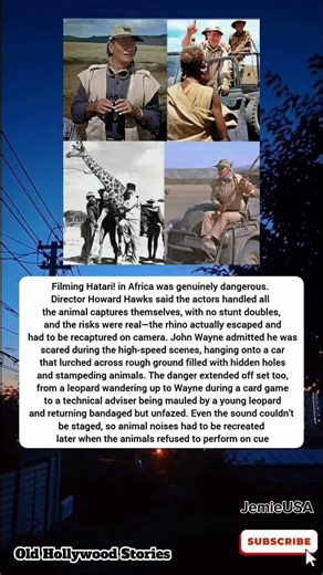 John Wayne and the Cast of Hatari! Risked Their Lives Making the Movie