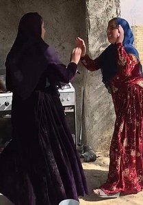 Dog habitat From design to implementation and the challenges ahead | Cleo.Abram