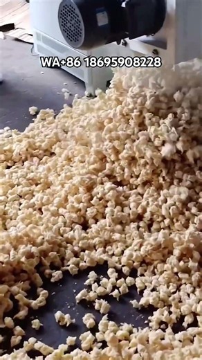 Extruder, feed extruder, dry extruder, extruded feed #crusher #machine