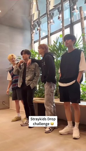 straykidsfan801 on TikTok