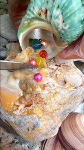 Sea Agate and Sea Crystal: Finding Hidden Treasures on the Shore and rare pearl