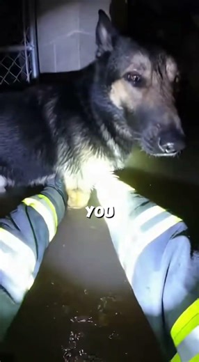 Firefighter Rescues Girls Dog 🥹
