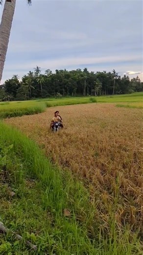 3.9M views · 109K reactions | Viral Funny Videos Compilations, watch till end  | Angkol Viners | Facebook