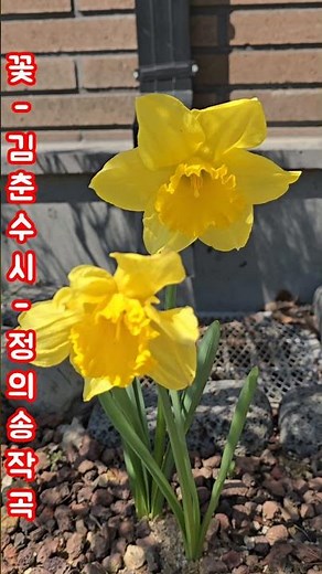 Flower - Poem by Kim Chun-su / Music by Jeong Ui-song / Sung by Jeong Ui-song