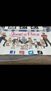 Thank you Ralph at Black Sheep Graphics for the amazing work. Ralph is the only one we go to for car designing! | Juno's Place