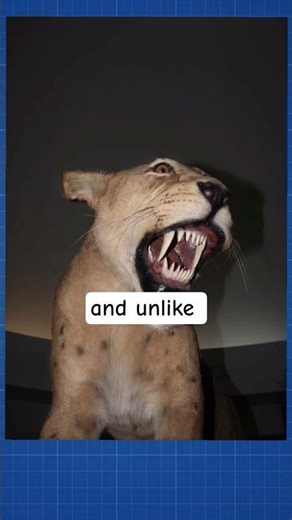 This Saber-Tooth Was WAY More Dangerous Than You Think