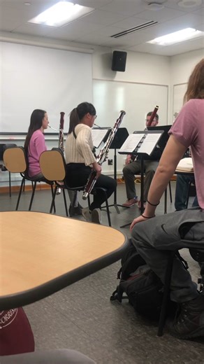 Recital next Monday! #bassoon #bassoonist #bassoontok #music #musician #chambermusic #quartet #mario #supermario #mariobros #nintendo #nintendomusic #videogamemusic