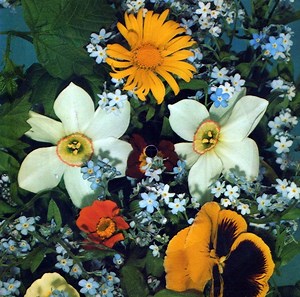 J. Dassin - L'ete Indien