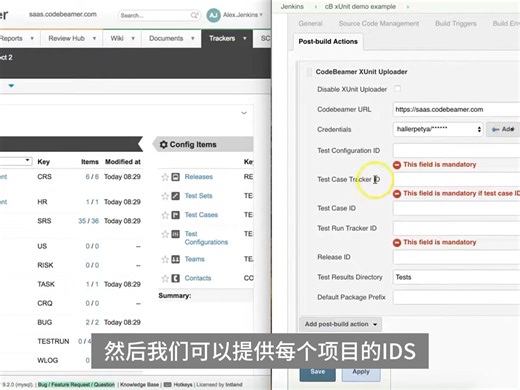 Codebeamer-如何导入的示例