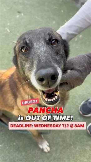 7K views · 904 reactions | We are very sad to report that she did not...